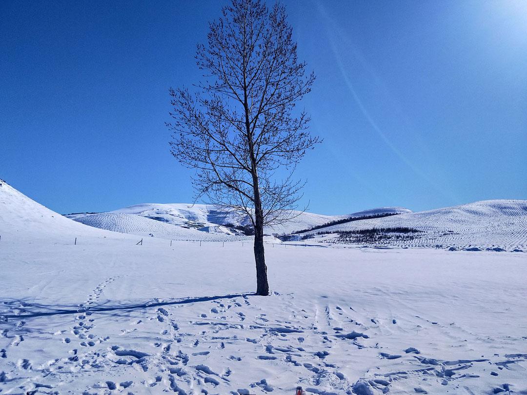 壩上冬季野外雪地扎營