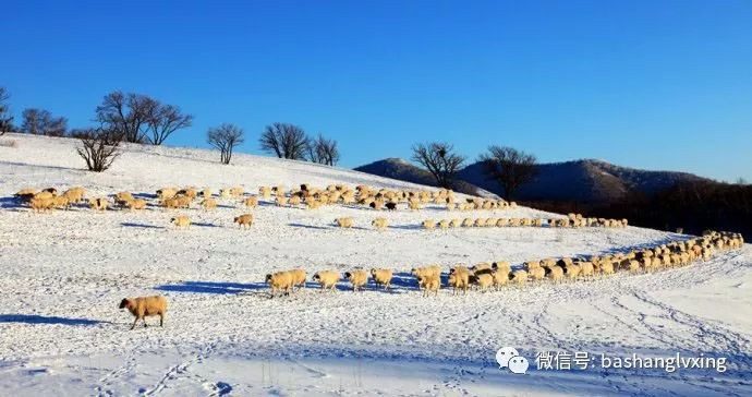 壩上冬季美景