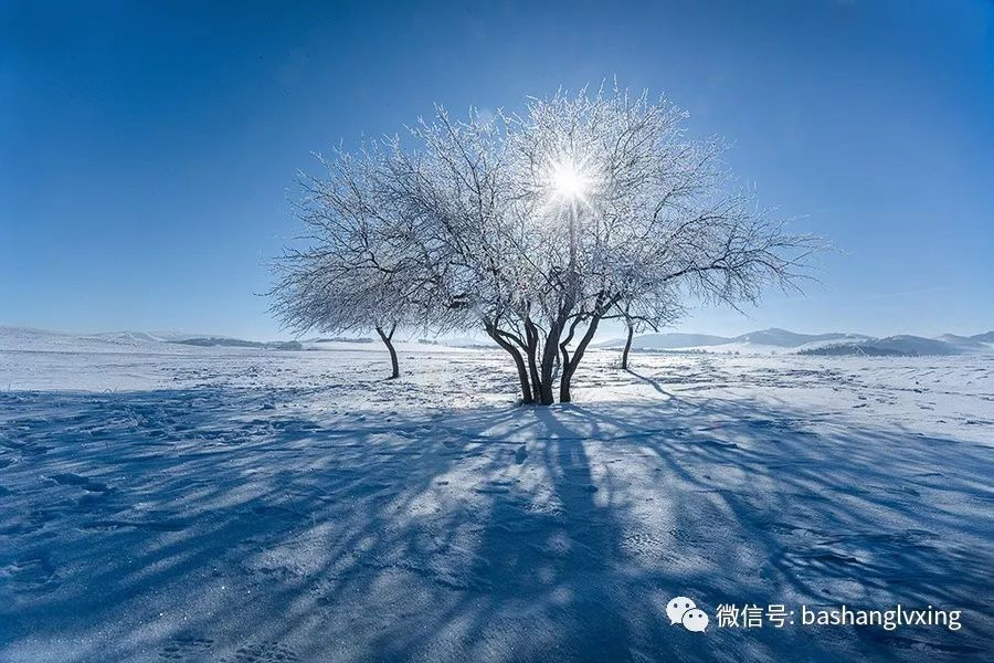 壩上冬季美景
