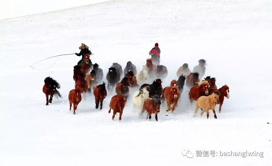 壩上冬季美景