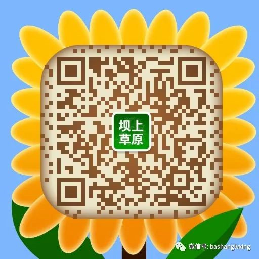 壩上微信號