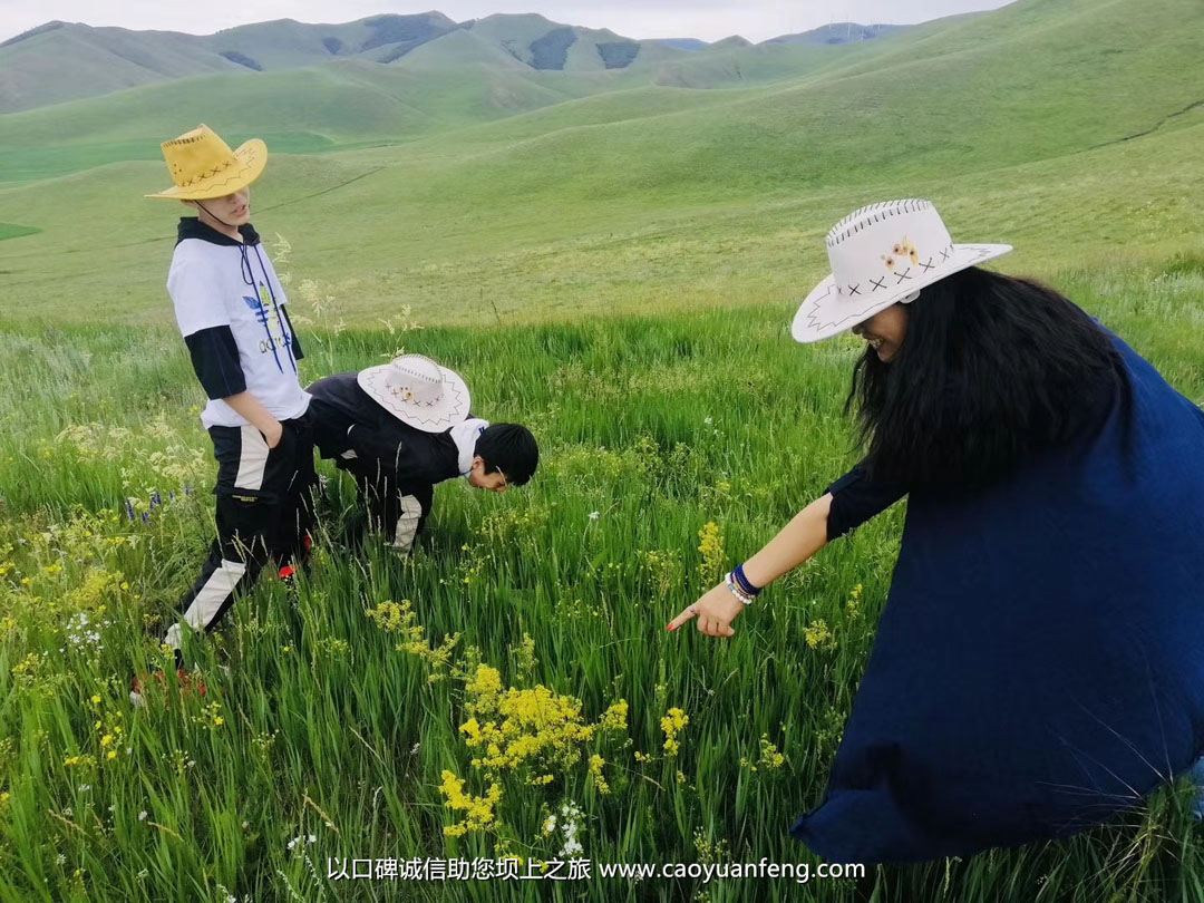 越野E族東營(yíng)飛凡戶外壩上草原越野穿越
