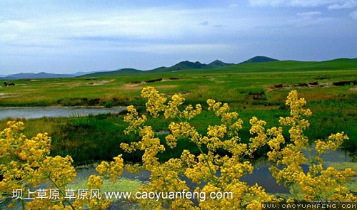 網(wǎng)友沒(méi)名7月初豐寧壩上海留圖攻略