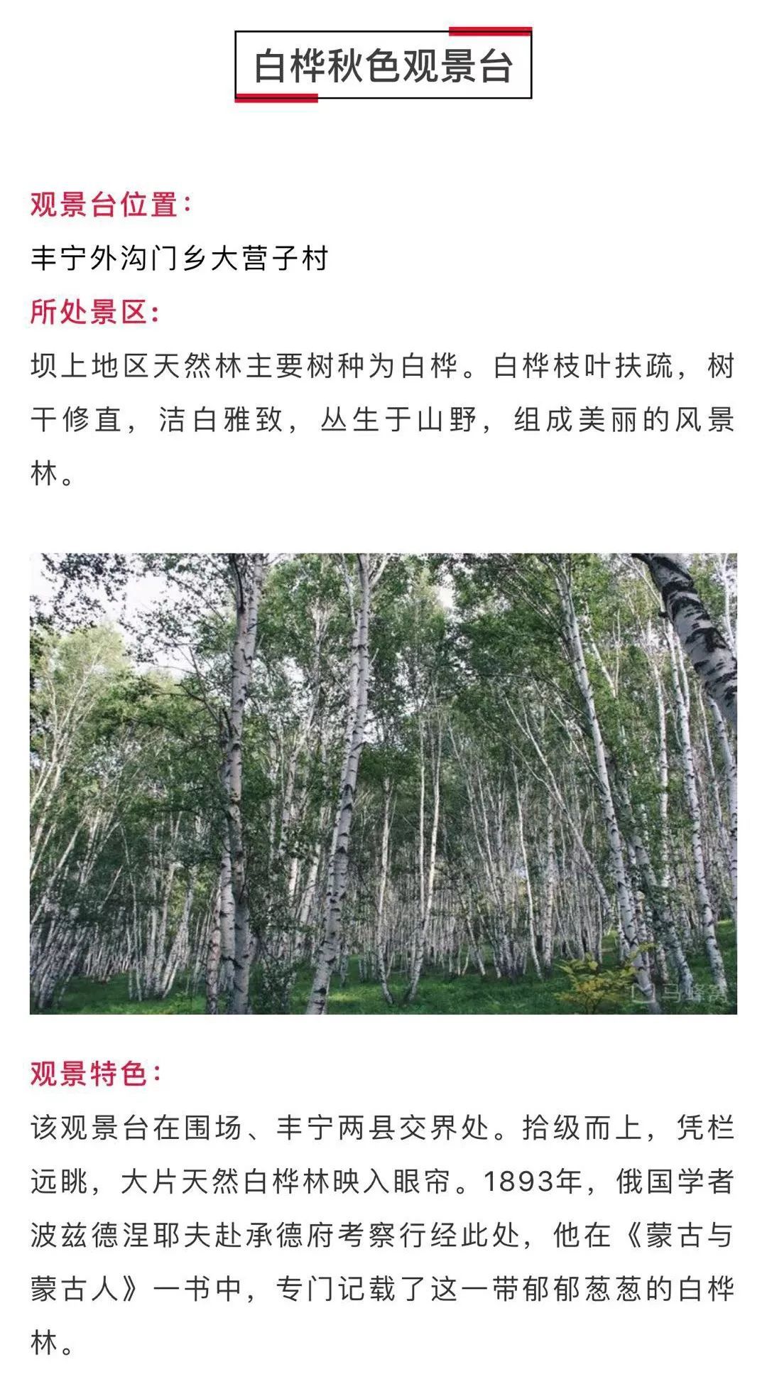 國(guó)家一號(hào)風(fēng)光大道自駕攻略