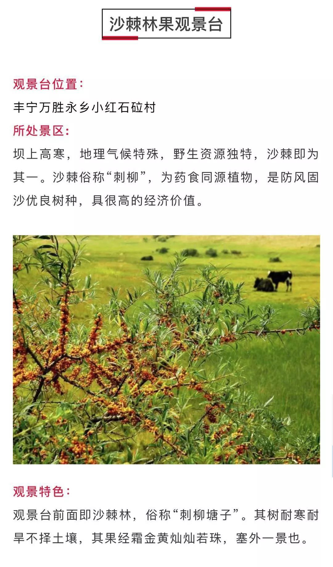 國(guó)家一號(hào)風(fēng)光大道自駕攻略