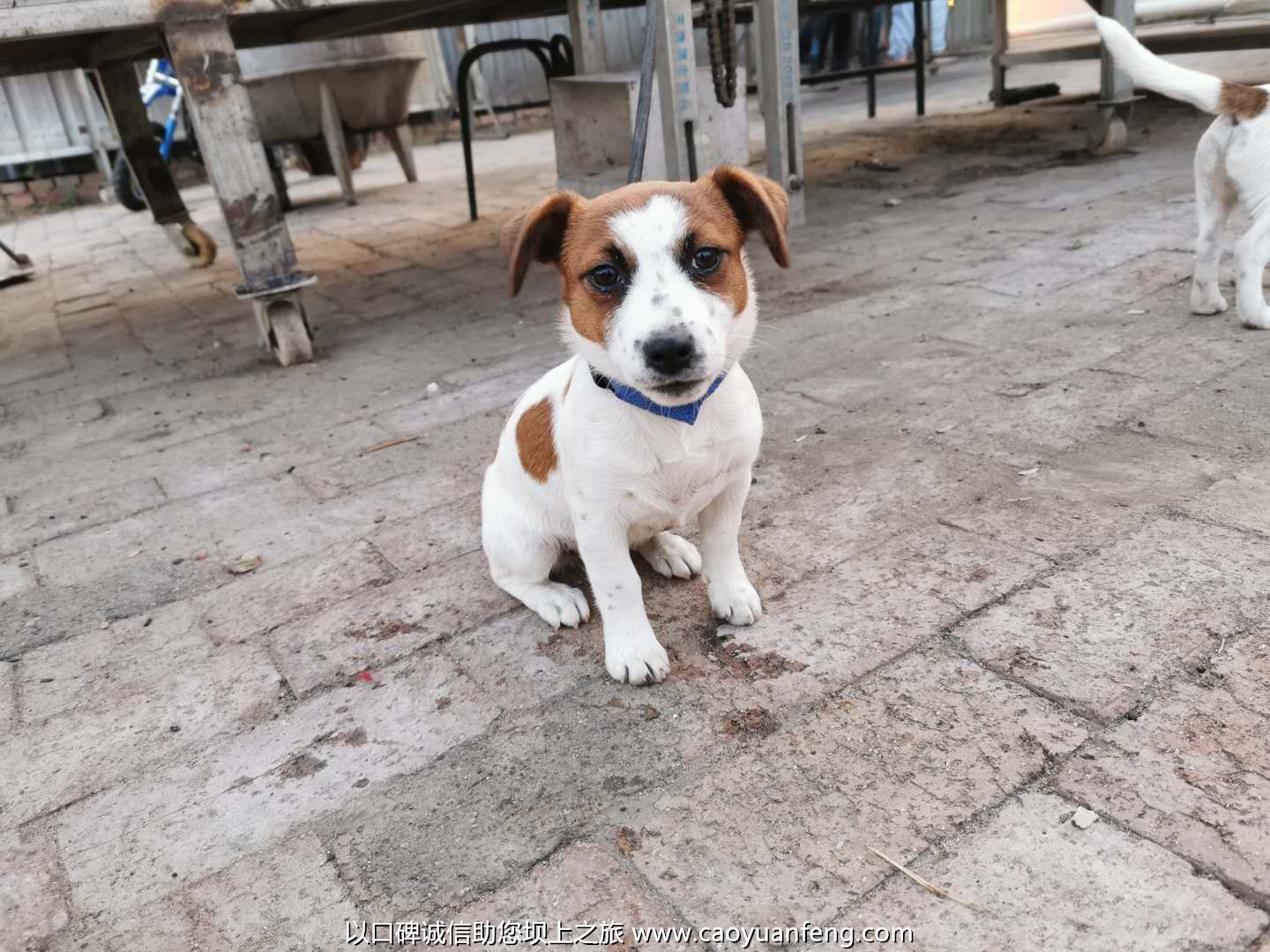 豐寧壩上草原自駕小團(tuán)隊(duì)3日游