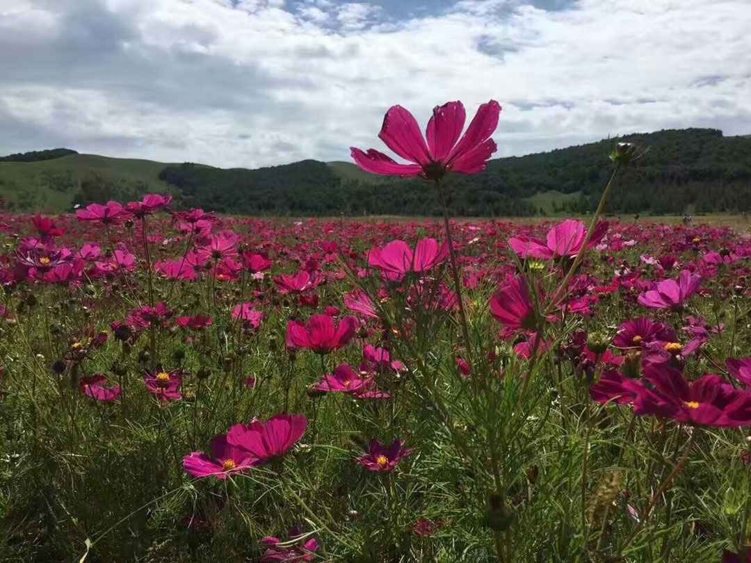 閎約國際設(shè)計(jì) 9月豐寧壩上團(tuán)建三日行