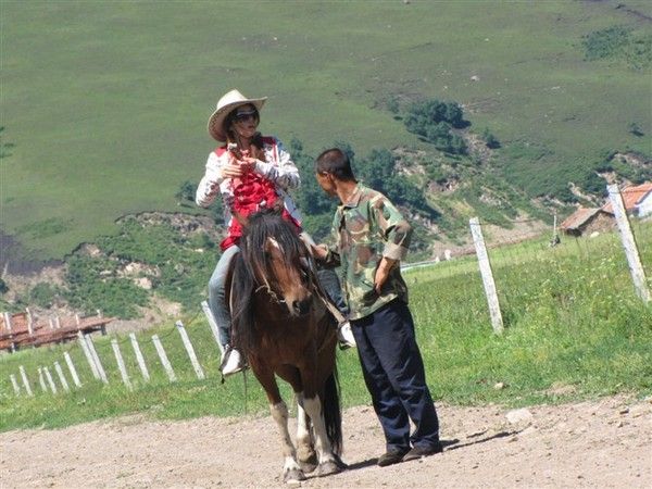 豐寧壩上自助游圖片