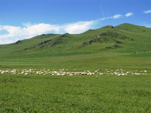 豐寧壩上旅游攻略圖片