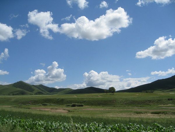 我們的旅行-豐寧壩上