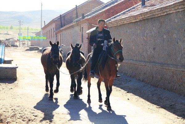 豐寧壩上旅游攻略圖片