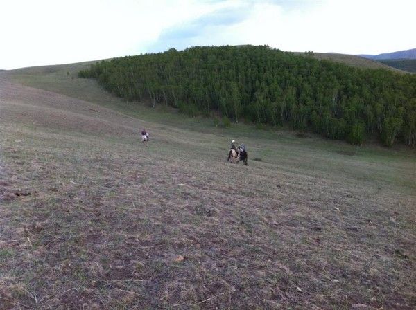 豐寧壩上旅游攻略圖片