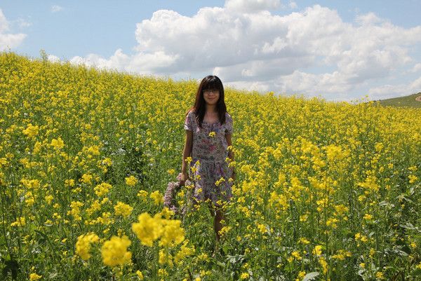 桑朵拉 被風吹過的夏天在壩上