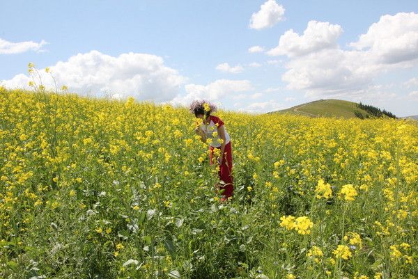 豐寧壩上自助游圖片