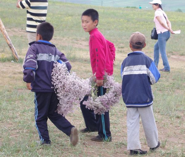 豐寧壩上圖片