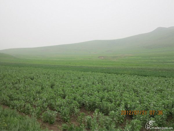 企鵝也會飛：壩上放風兩日游