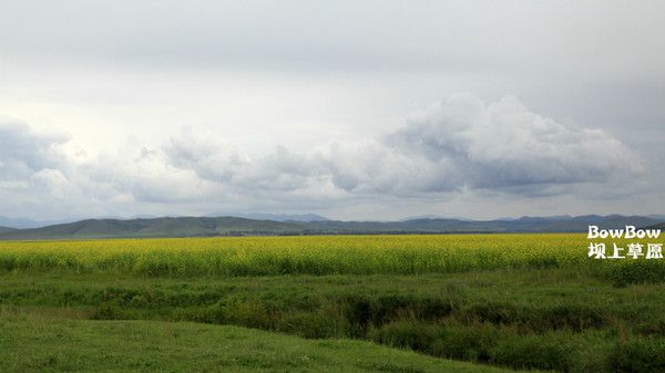 豐寧壩上景點(diǎn)圖片