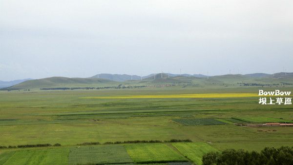 豐寧壩上自助游圖片