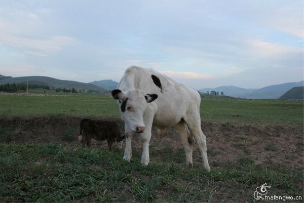 豐寧壩上景點(diǎn)圖片