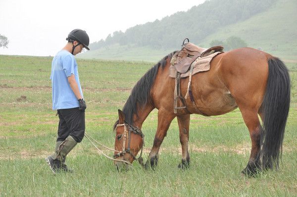 豐寧壩上旅游攻略圖片