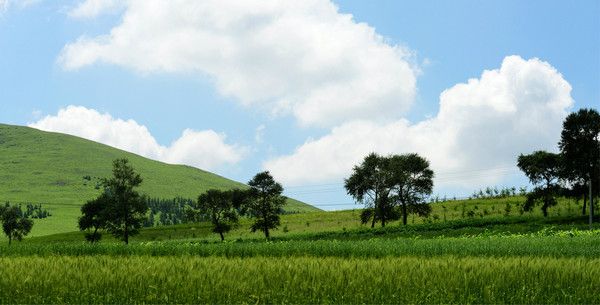 豐寧壩上自助游圖片