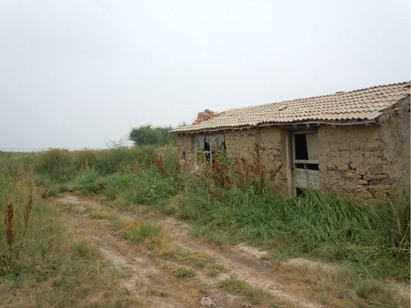 豐寧壩上自助游圖片