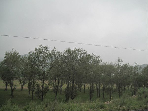灰shai兒：豐寧壩上