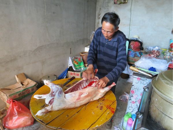 豐寧壩上圖片