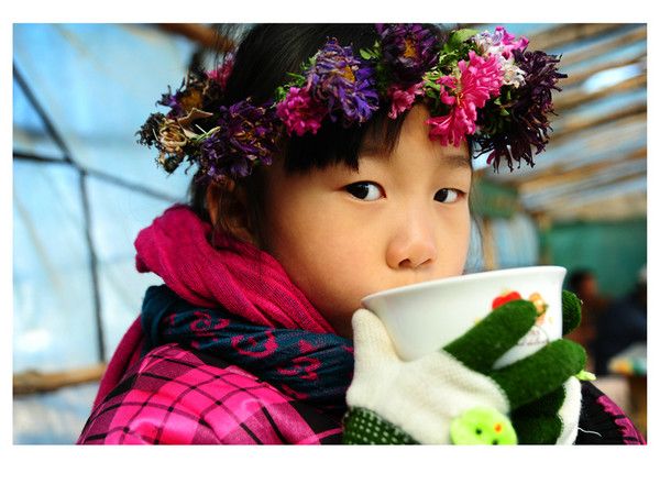 豐寧壩上自助游圖片