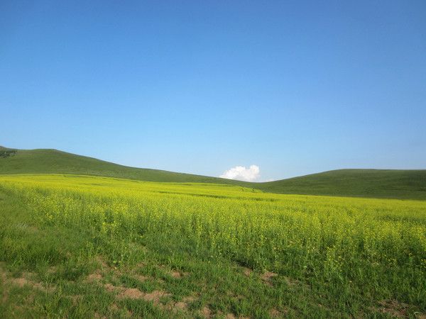 豐寧壩上旅游攻略圖片