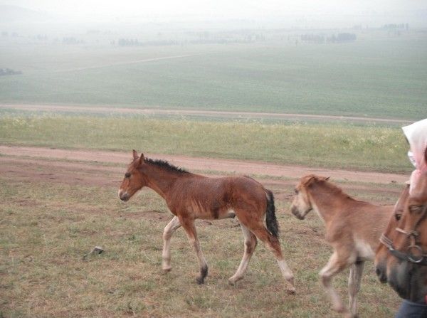 豐寧壩上旅游攻略圖片