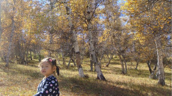 豐寧壩上旅游攻略圖片