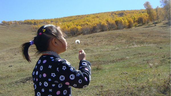 豐寧壩上旅游攻略圖片