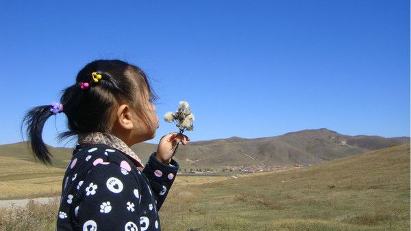 豐寧壩上旅游攻略圖片