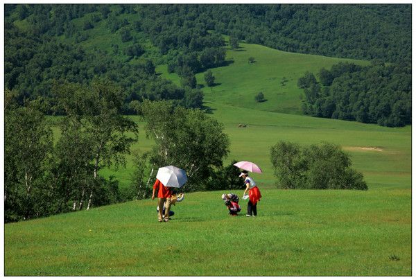 豐寧壩上圖片