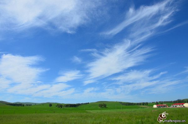7月 豐寧壩上草原 2013年憋屈太久的旅行