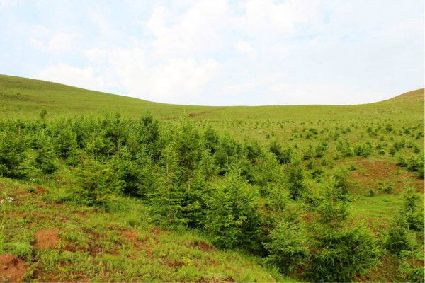 豐寧壩上旅游攻略圖片
