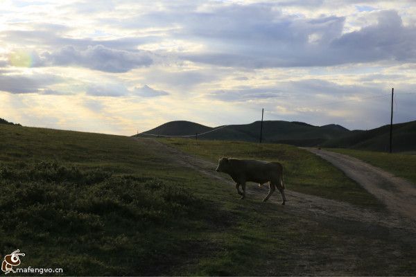 豐寧壩上旅游攻略圖片