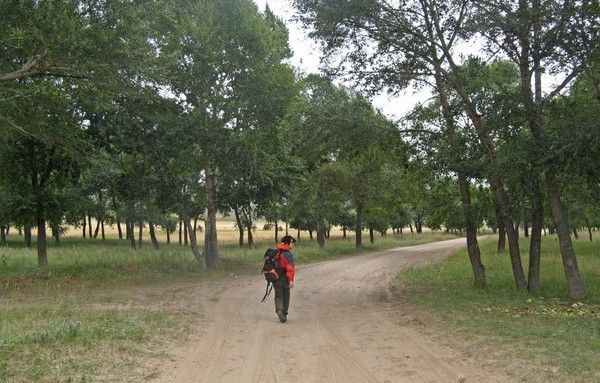 豐寧壩上自助游圖片