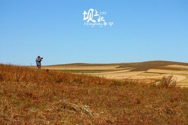 豐寧壩上景點圖片