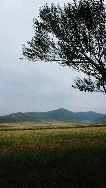 豐寧壩上自助游圖片