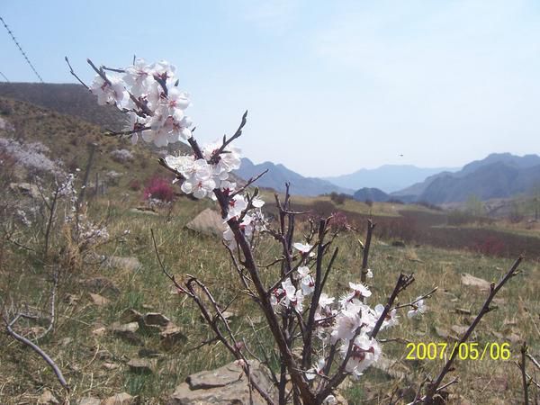 豐寧壩上旅游攻略圖片