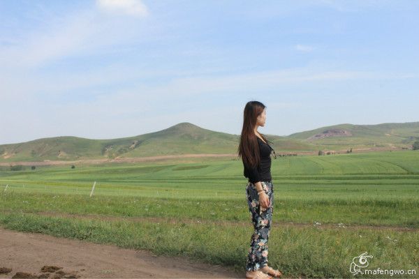 豐寧壩上圖片