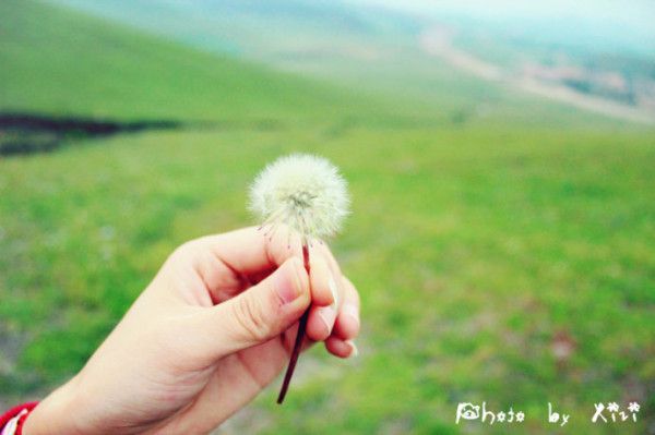 豐寧壩上旅游攻略圖片