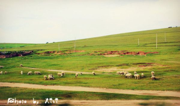 豐寧壩上旅游攻略圖片