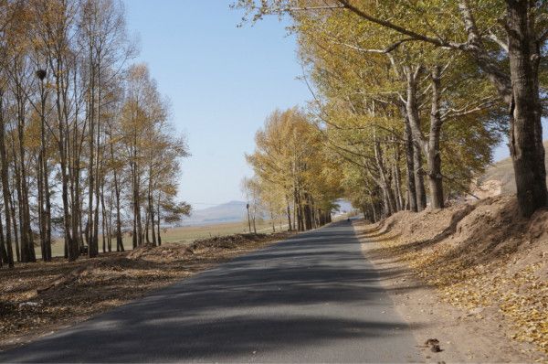 豐寧壩上自助游圖片