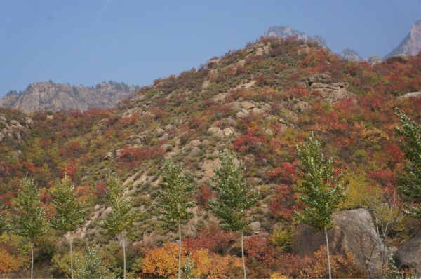 豐寧壩上旅游攻略圖片