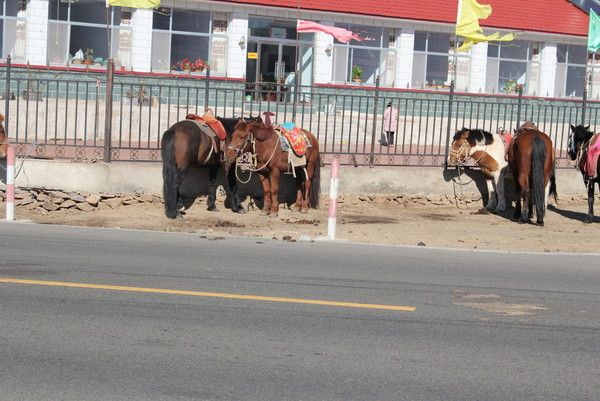 豐寧壩上旅游攻略圖片