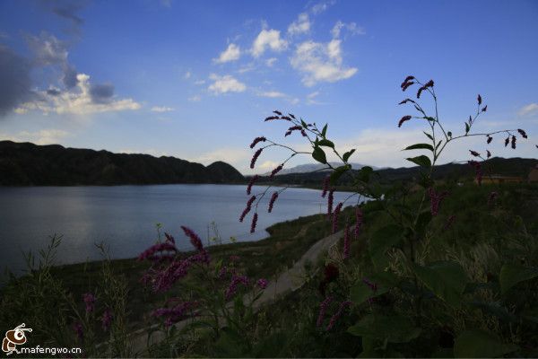 豐寧壩上旅游攻略圖片