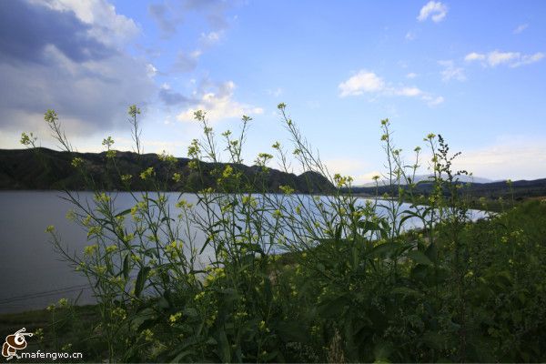 豐寧壩上自助游圖片